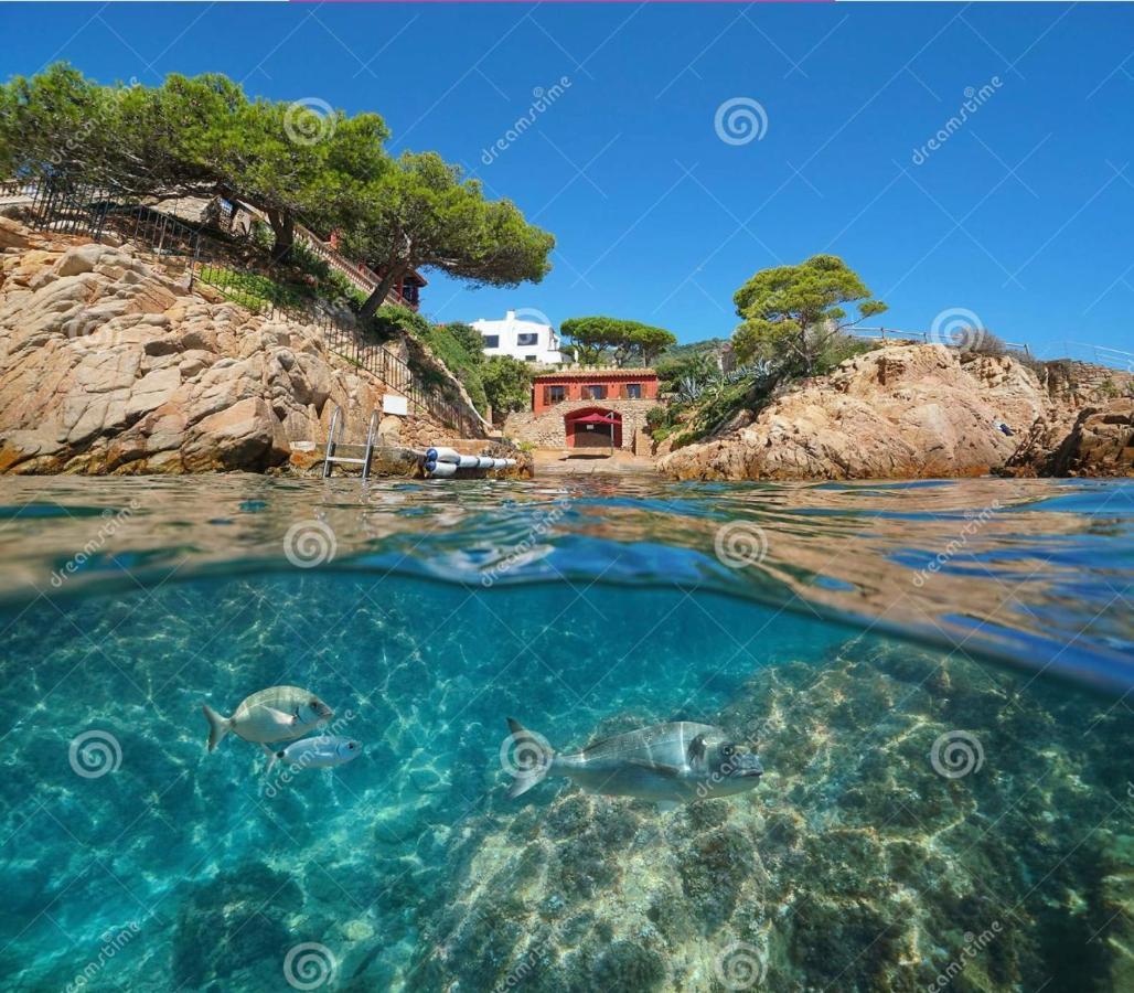 Noor Apartamento Begur Exterior foto
